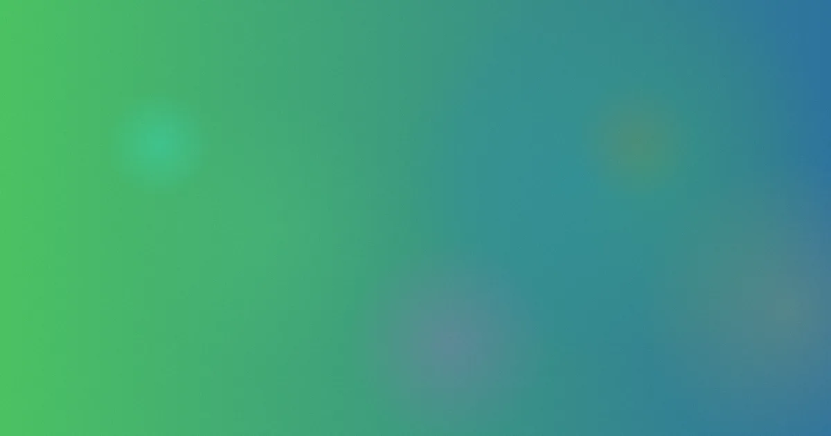 让我们荡起双桨推荐：新手对比