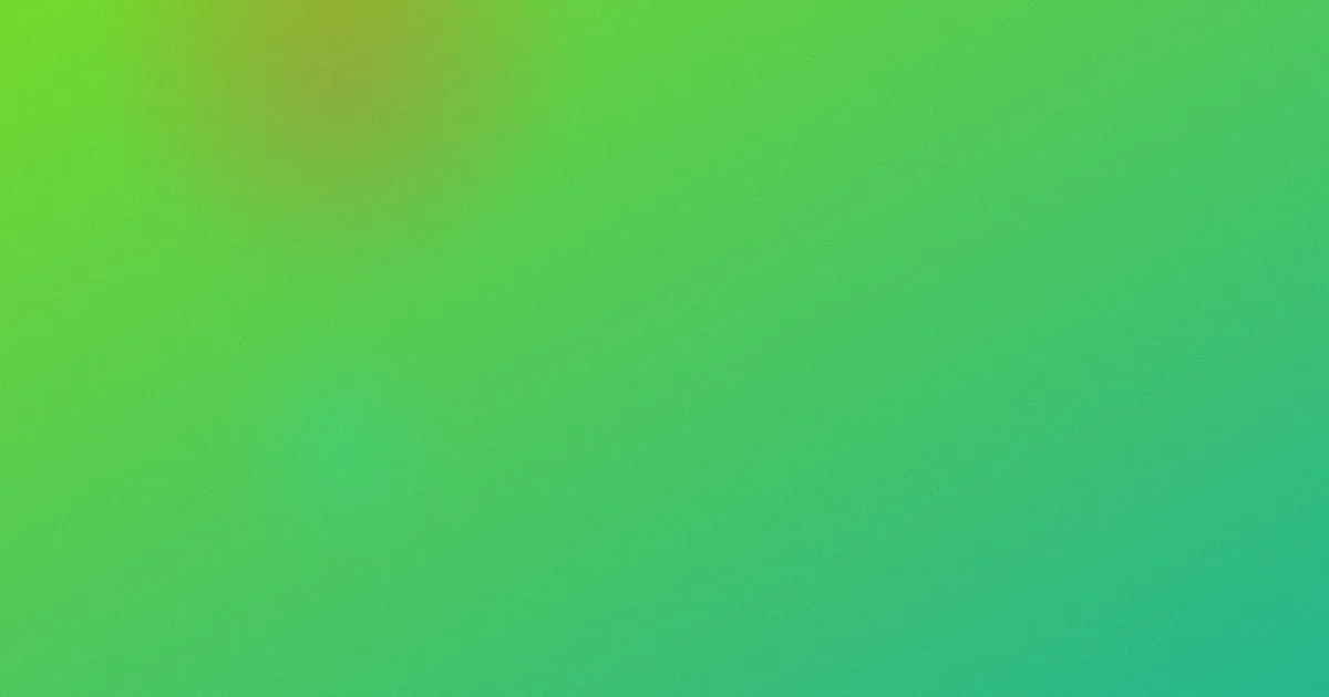 洪尚秀测评：新手避坑流程