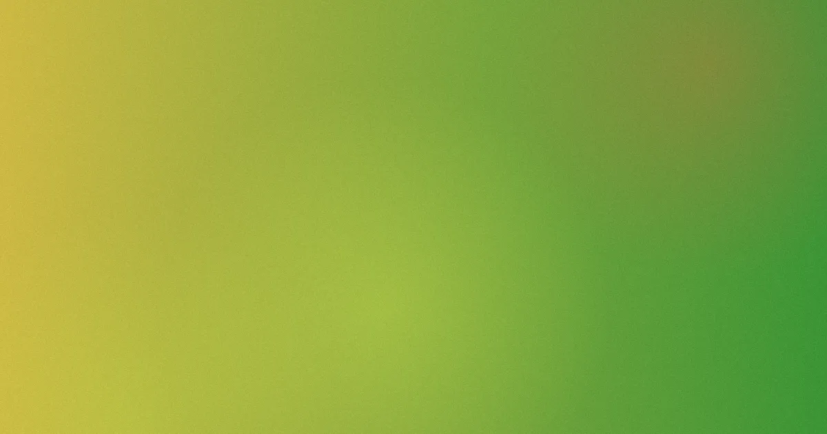 不沦之恋攻略：常见问题对比